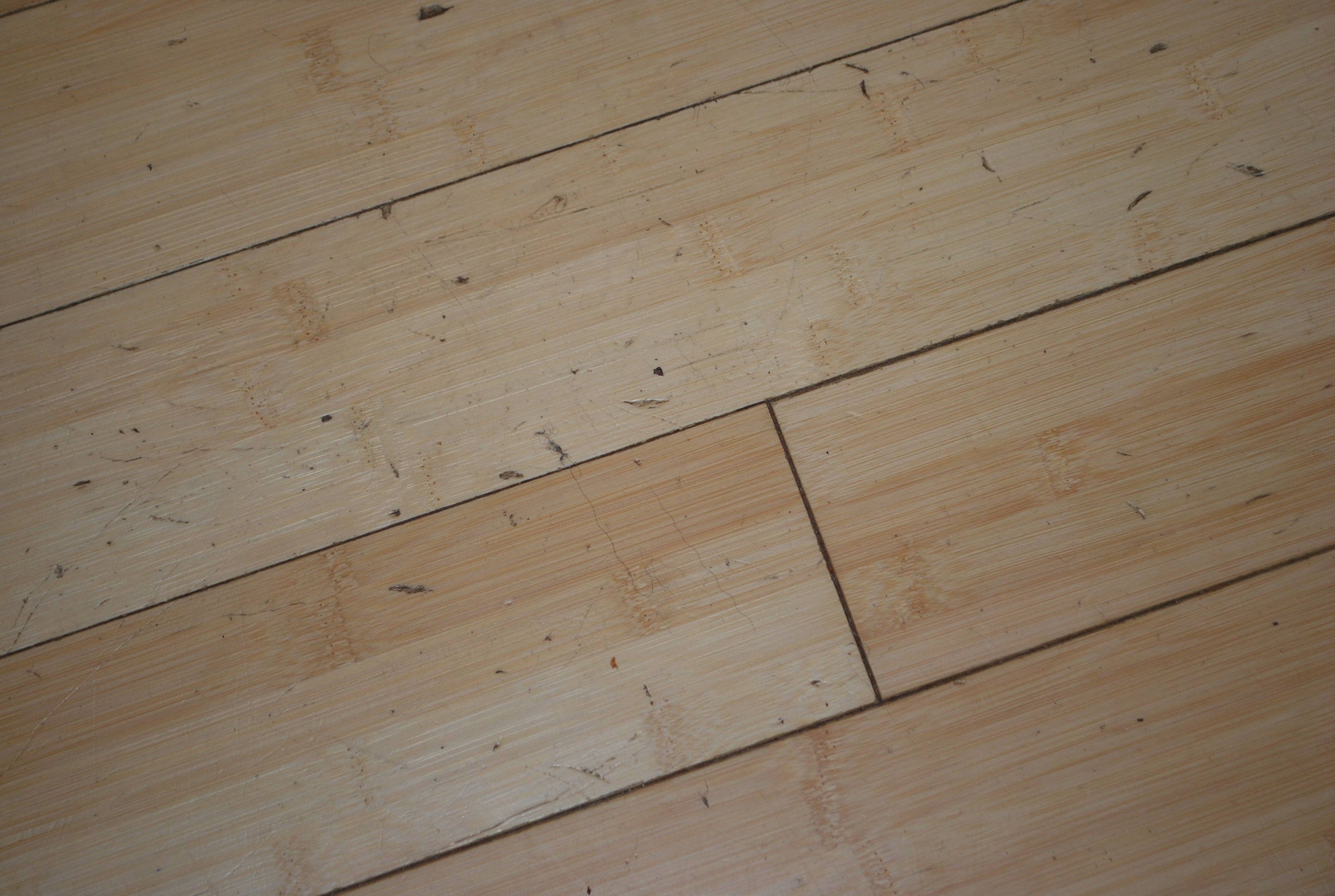 Bamboo Floor New Bamboo Floor Problems